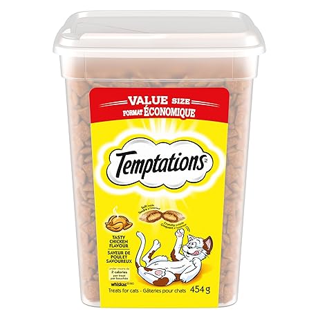 A container of temptations cat treats