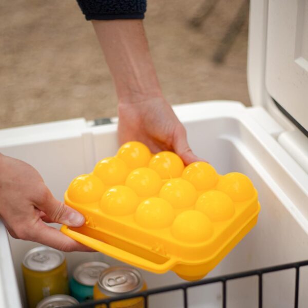 A person holding an egg tray in front of a cooler.