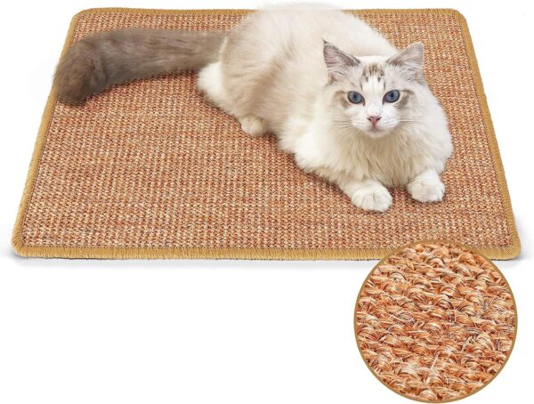 A cat laying on top of a rug.