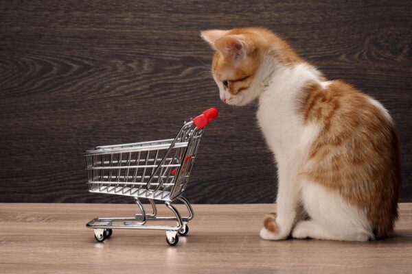 A cat sitting next to a shopping cart.