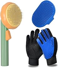 A set of four items that include two gloves and one brush.